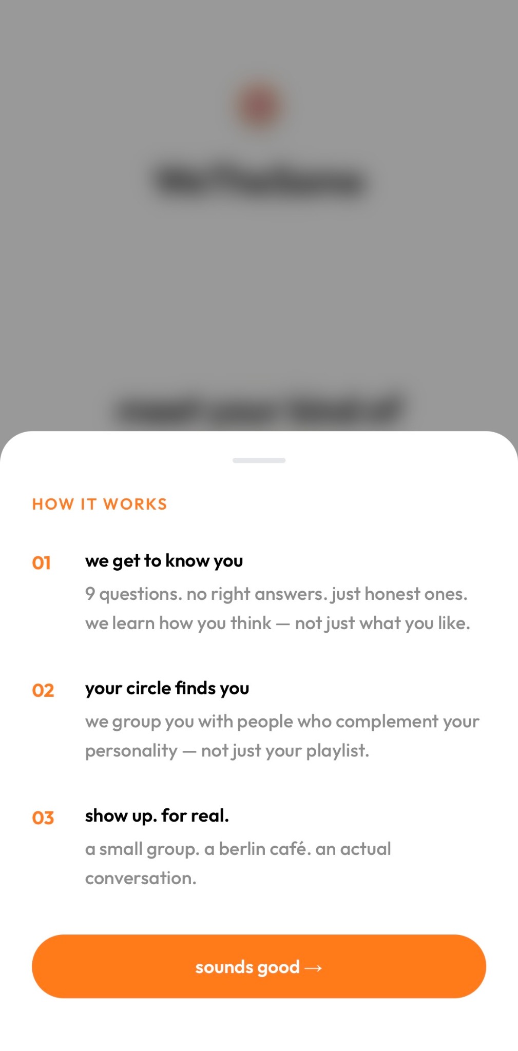 WeTheSame questionnaire and connection explanation